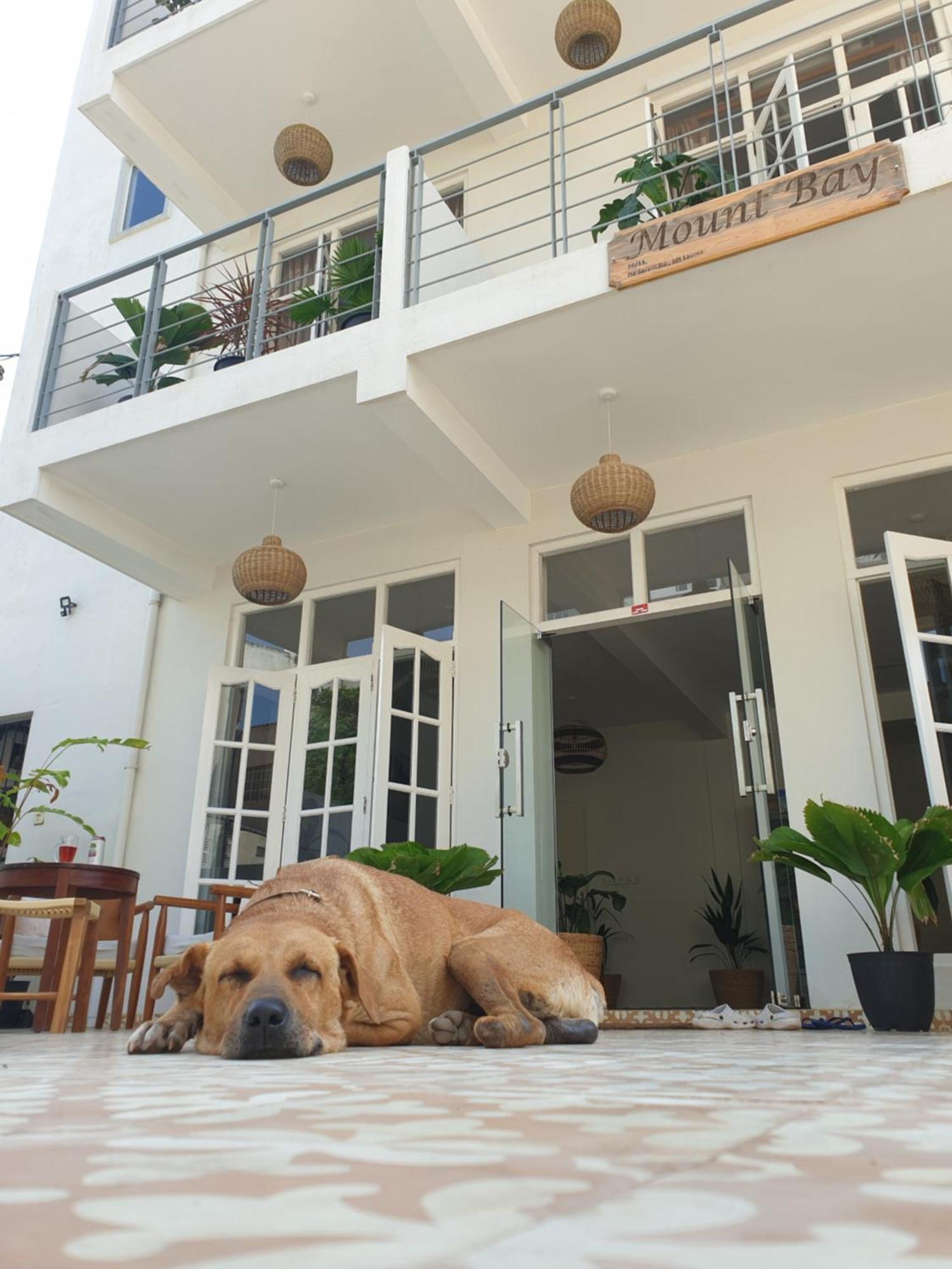 Hotel Mountbaylk à Dehiwala-Mont Lavinia Extérieur photo