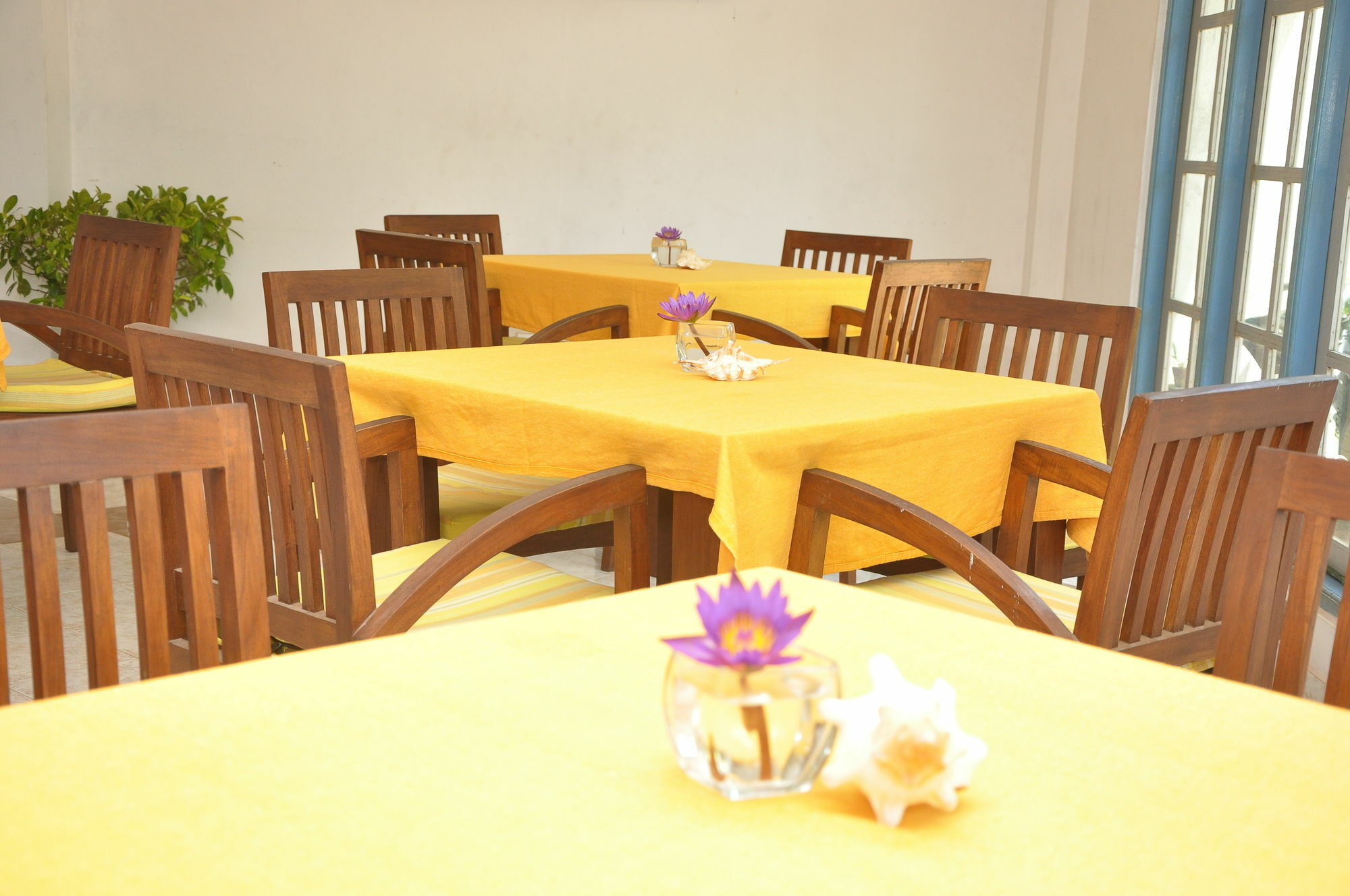 Hotel Mountbaylk à Dehiwala-Mont Lavinia Extérieur photo